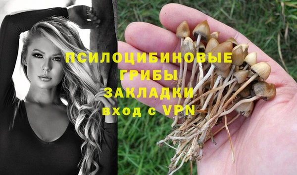 ALPHA PVP Армянск
