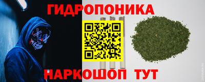 дмт Донской
