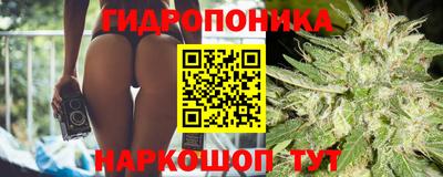 индика Донецк