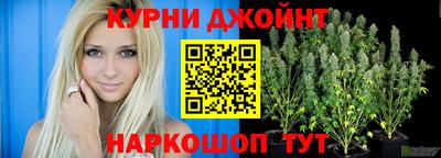 индика Донецк
