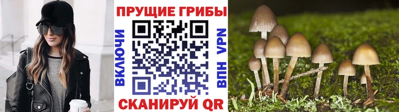 Псилоцибиновые грибы мицелий  гидра рабочий сайт  Кулебаки 