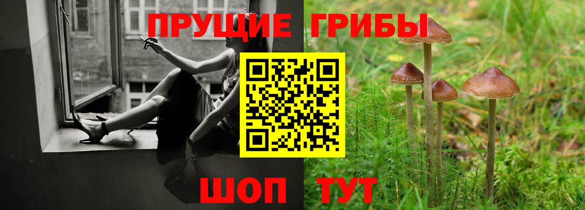 Галлюциногенные грибы Cubensis Кулебаки